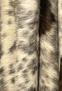 Close-up of a speckled cowhide