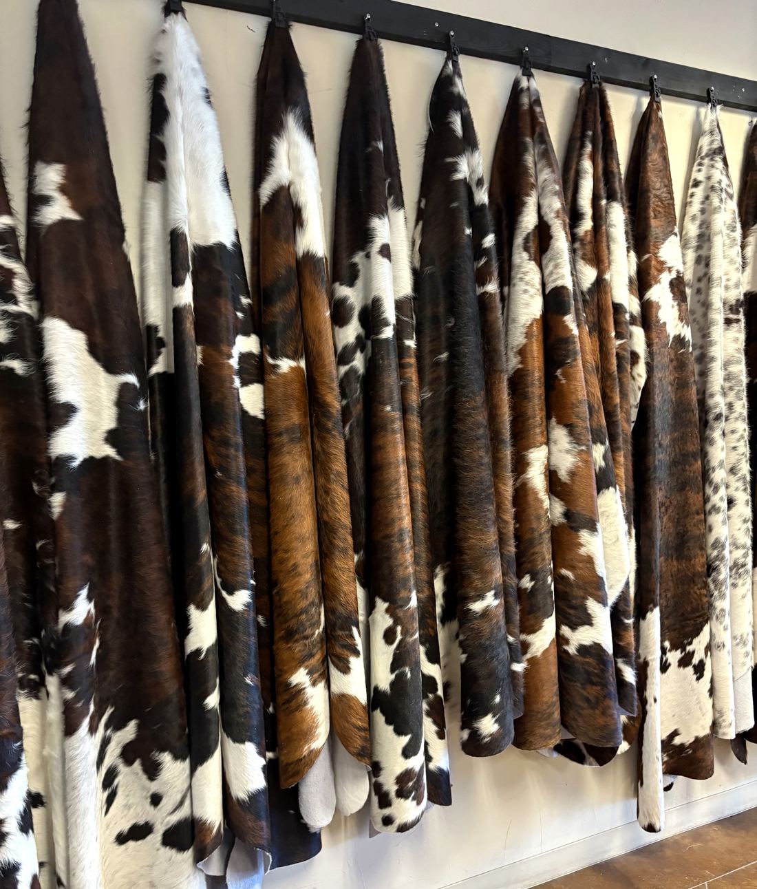 Tricolor and speckled hides